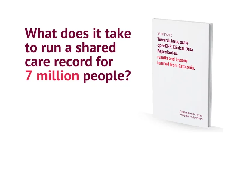 Whitepaper: Building a Regional Health Data Platform