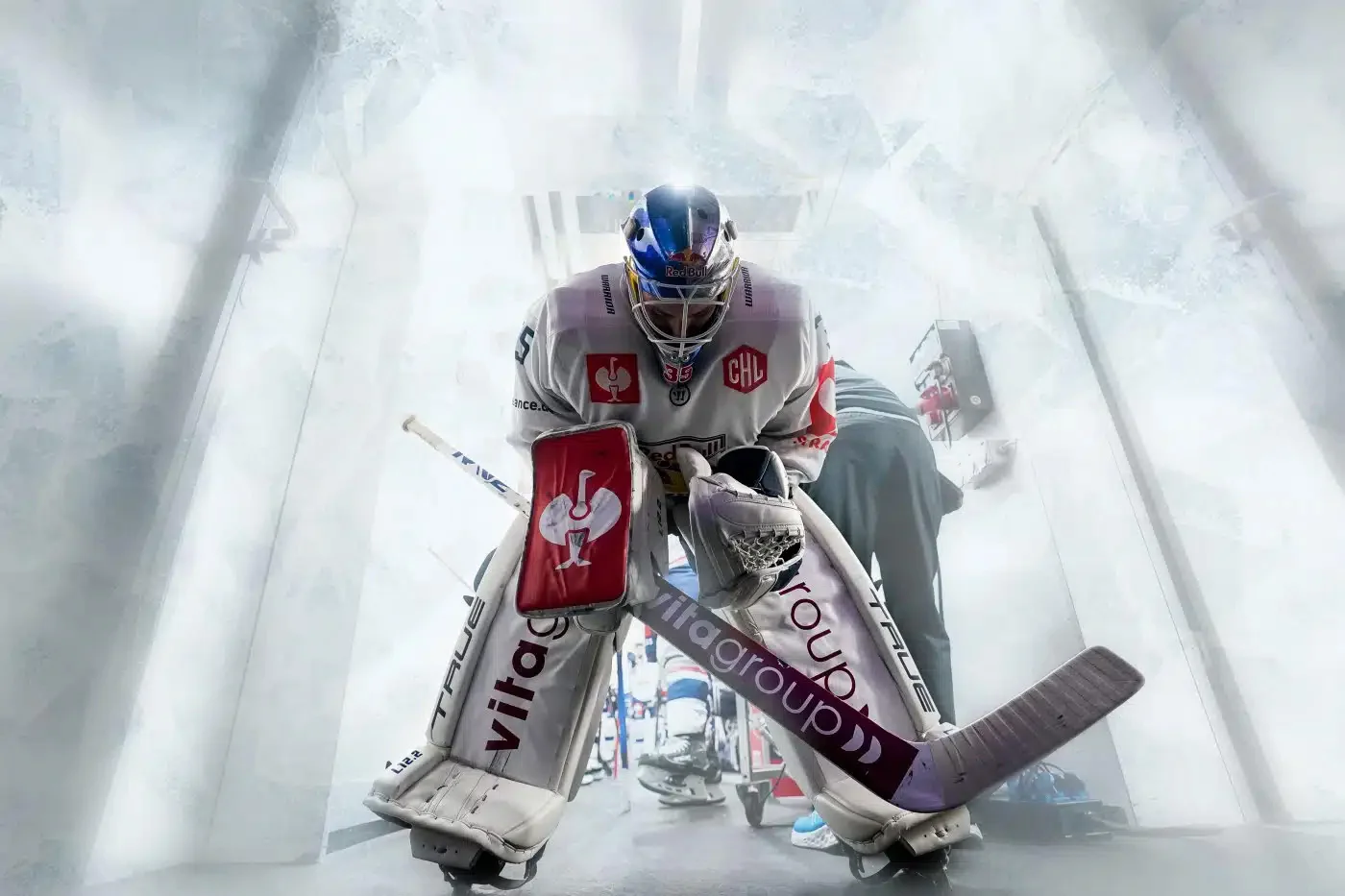 Partner of ice hockey 11 vitagroup