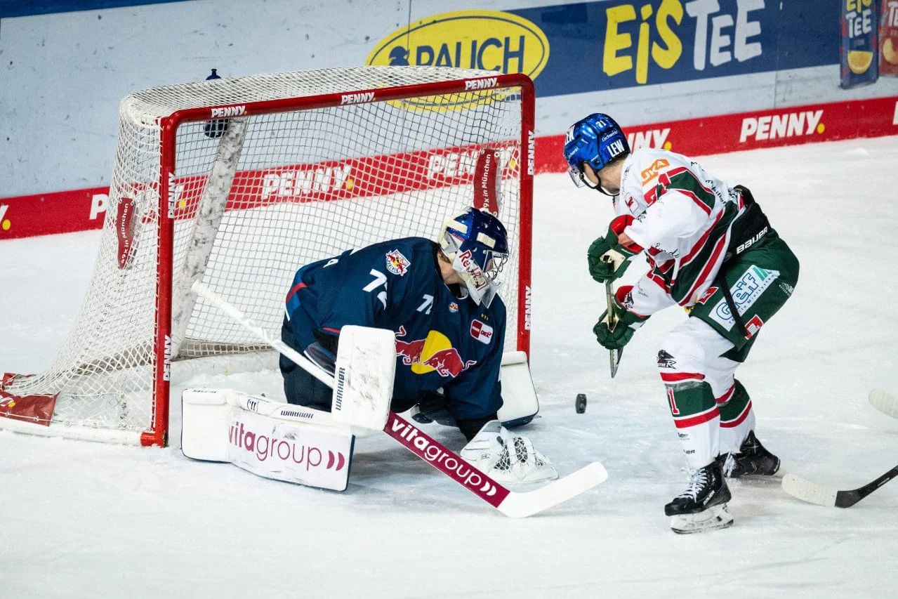 Partner of ice hockey 12 vitagroup