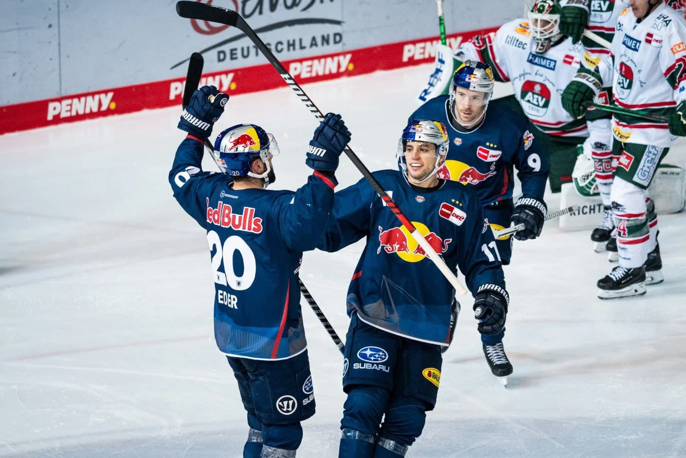 Partner of ice hockey 8 vitagroup